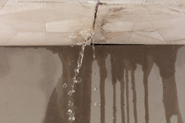 Professional Structural Drying technician working in Drexel, MO
